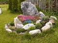 Blumen im Garten